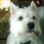 Jackie Abbott - @jacko6363 - Instagram