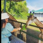 jackie - @jackieabellada04 - Instagram