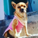 jackie_aceves_love - @jackie_aceves_love - Instagram