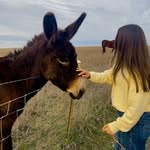 JACKIE ACKERMAN - @jackerman__04 - Instagram