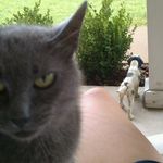 Jackie Acton Abrams - @jabrams1207 - Instagram