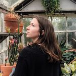 Jackie Ahern - @jackieahern - Instagram