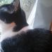 Jackie Akers - Facebook
