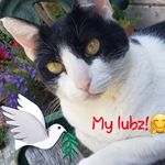 Jackie Alamillo - @mommajacke - Instagram