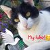 Jackie Alamillo - Facebook
