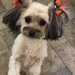 Jackie Angus - @soya.hershel - Instagram