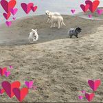 Jackie Hanson - @jackie_hanson__ - Instagram