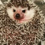 jackie aragon - @jackie_cupcakes12 - Instagram