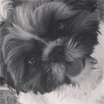 Jackie Ashe - @jackster000 - Instagram