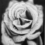 Jacqueline Atchley - @art.by_jackie - Instagram