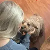 Jack Augustine - @jack.augustine_ - TikTok