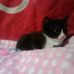 Jackie Barr - Facebook