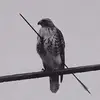 Jackie Barraza - @jackie.barraza80 - TikTok