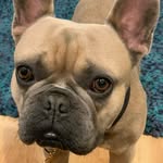 Jackie Bartlett - @jackiebartlett1952 - Instagram