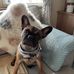 Jackie Bartlett - Facebook