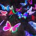 Jackie Bateman - Facebook