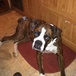 Jackie Baty - @jackiebaty - Instagram
