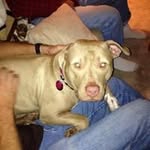 Jacki Baumgardner - @jacki_baumgardner - Instagram