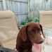 Jackie Beam Vandergrift - Facebook