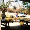 Jackie Benavides - @jackie.benavides43 - TikTok