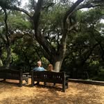 Jackie The Bench - @allthebenches - Instagram