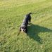 Jackie Benham - Facebook