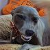 Jackie Benn - Facebook