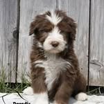 Jackie Berger - @berger3924 - Instagram