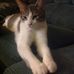 Jackie Berger - Facebook