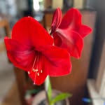 Jackie Berger - @jackiebmilwaukee - Instagram