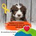 Jackie Dom Berger - Facebook