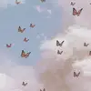 aesthetic_vibes_lol - @jackieberkley - TikTok