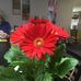 Jacqueline Bess - Facebook