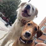 Jackie Best - @jackiebest - Instagram