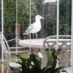 Jackie Betts - @rudgejackie231 - Instagram