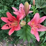 Jackie Betts - @grammybetts59 - Instagram