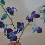 Jackie Betts - @jackie.betts.58 - Instagram