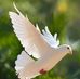 Jackie Blakely - Facebook