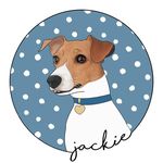 Jackie 🐶 - @jackie.blandogalleri - Instagram