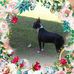 Jackie Bland - Facebook