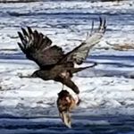Jackie Block - @saint_istabon - Instagram