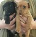 Jackie Blumenstock - Facebook
