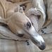 Jackie Blyth - Facebook