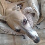 Jackie Blyth - @jackieblyth09 - Instagram