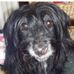 Jackie Blythe - Facebook