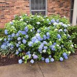 Jackie Bollinger Frith - @jackie.b.frith - Instagram