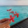 @jacqueline - @jackie_balling3r - TikTok