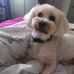 Jackie Bone - Facebook
