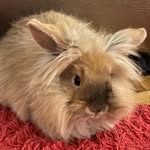 Jackie🥰🐰 - @jackie._.the._.boss - Instagram