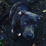 jackie bowling - @jackie_bowling67 - Instagram